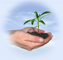 Essel SWolutions